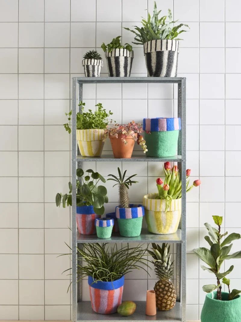 etagere de pots aveva de toutes les couleurs