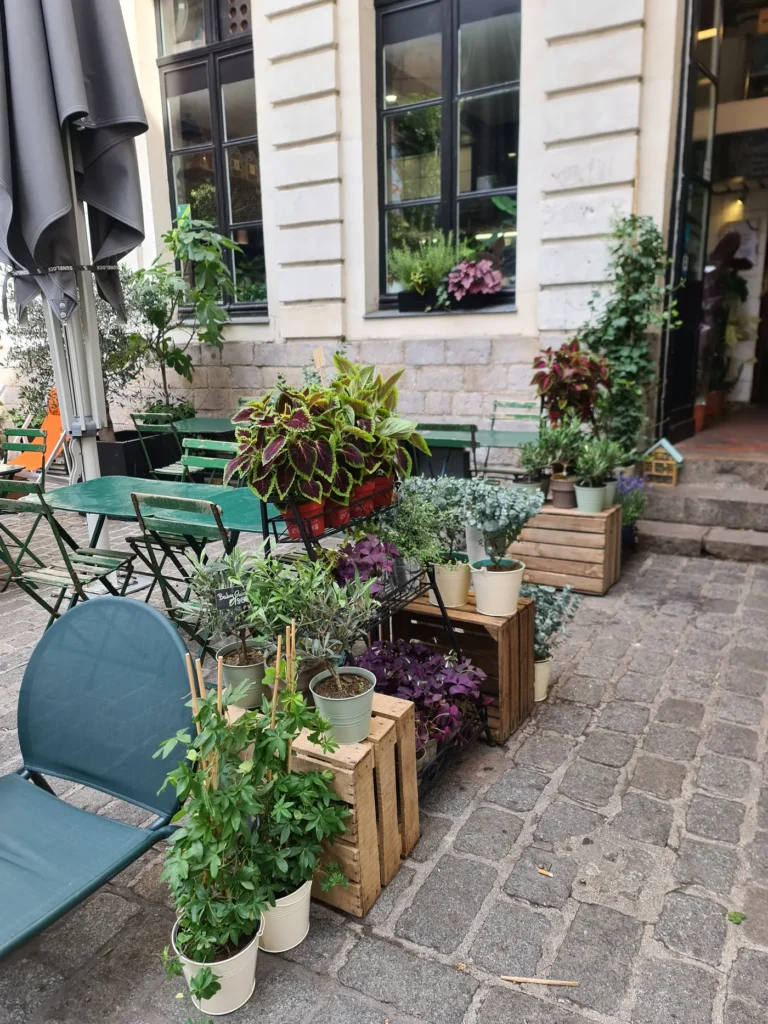illu la wilderie terrasse et façade