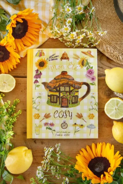 livre mon été cosy