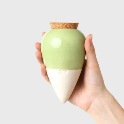 olla pépin vert tenu dans une main