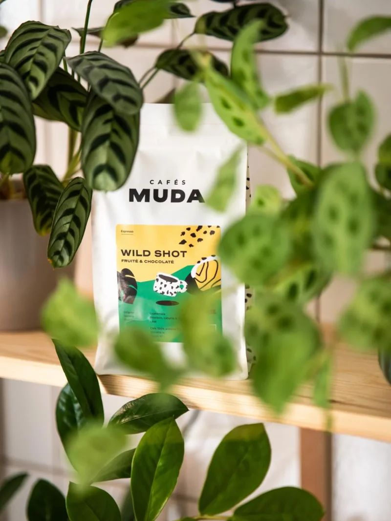 sachet de café wild shot muda en collaboration avec la wilderie