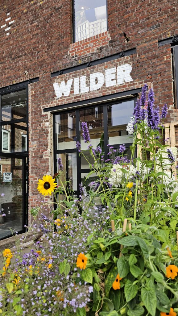 wilder