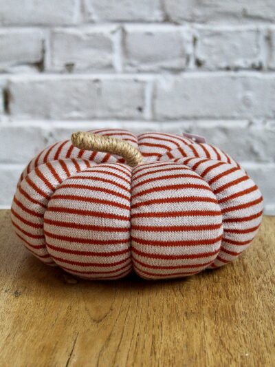 pumpkin à rayures pour décorer sa maison l'automne