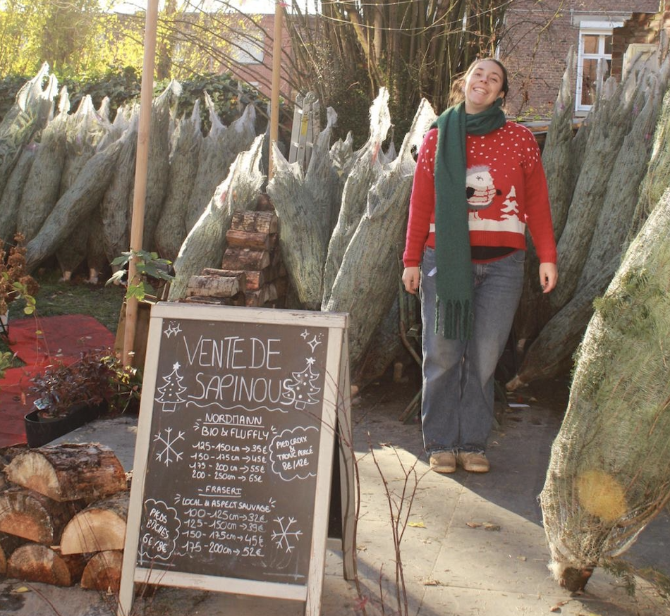vente sapin de noel bio à wilder avec la creatrice